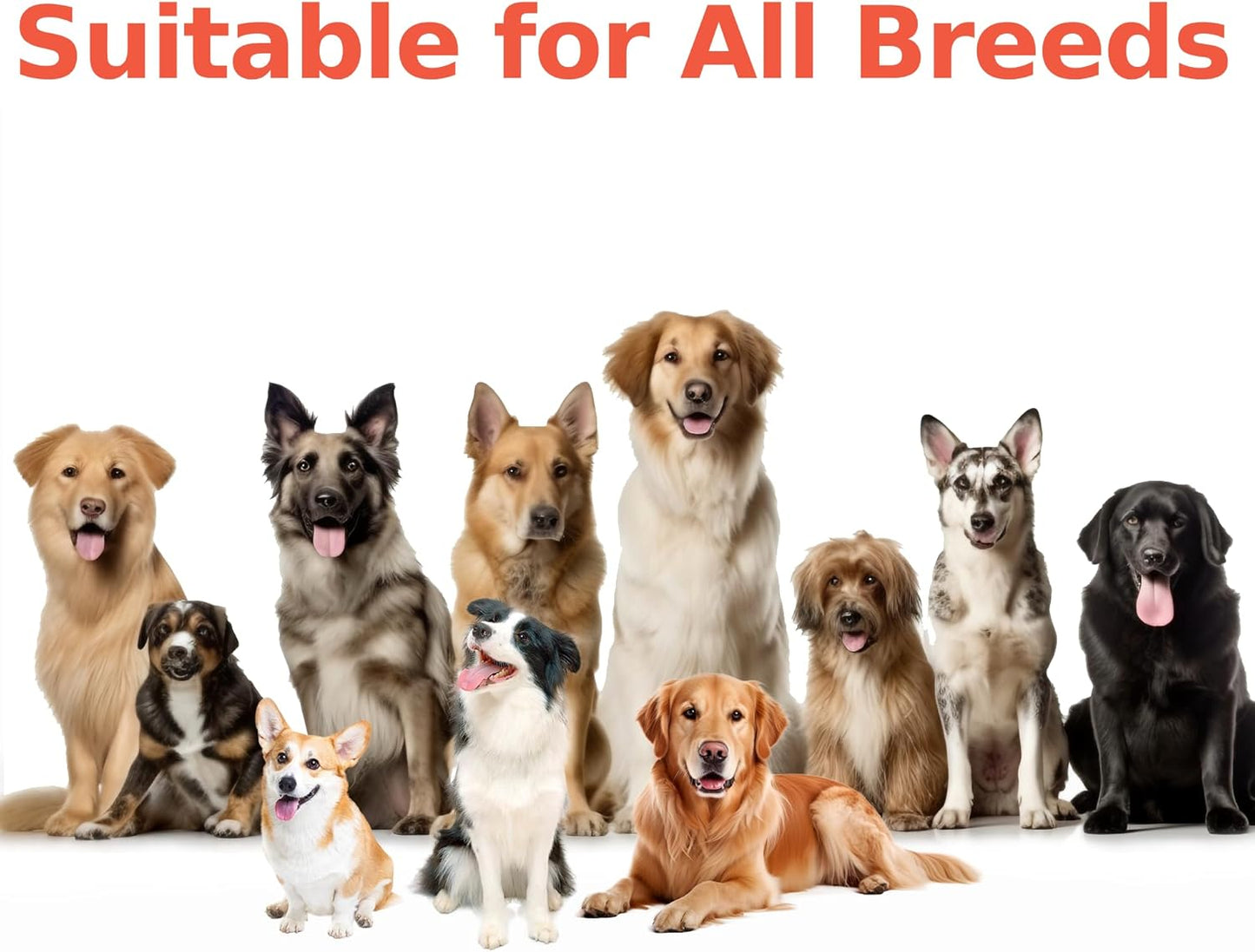 Probiotics for Dogs | Digestive & Gut Health Support | Vet-Formulated Pet Supplement with Prebiotics, Enzymes & Colostrum | Helps with Gas & Upset Stomach | Chicken Flavor - 180 Soft Chews