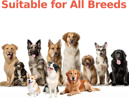 Probiotics for Dogs | Digestive & Gut Health Support | Vet-Formulated Pet Supplement with Prebiotics, Enzymes & Colostrum | Helps with Gas & Upset Stomach | Chicken Flavor - 180 Soft Chews