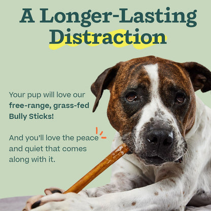 WOOF Bully Sticks Dog Treats - Chew Sticks for Dogs - Long-Lasting Dog Chew Treats - Made with Free-Range, Grass-Fed Beef - 6" Sticks - 10pk