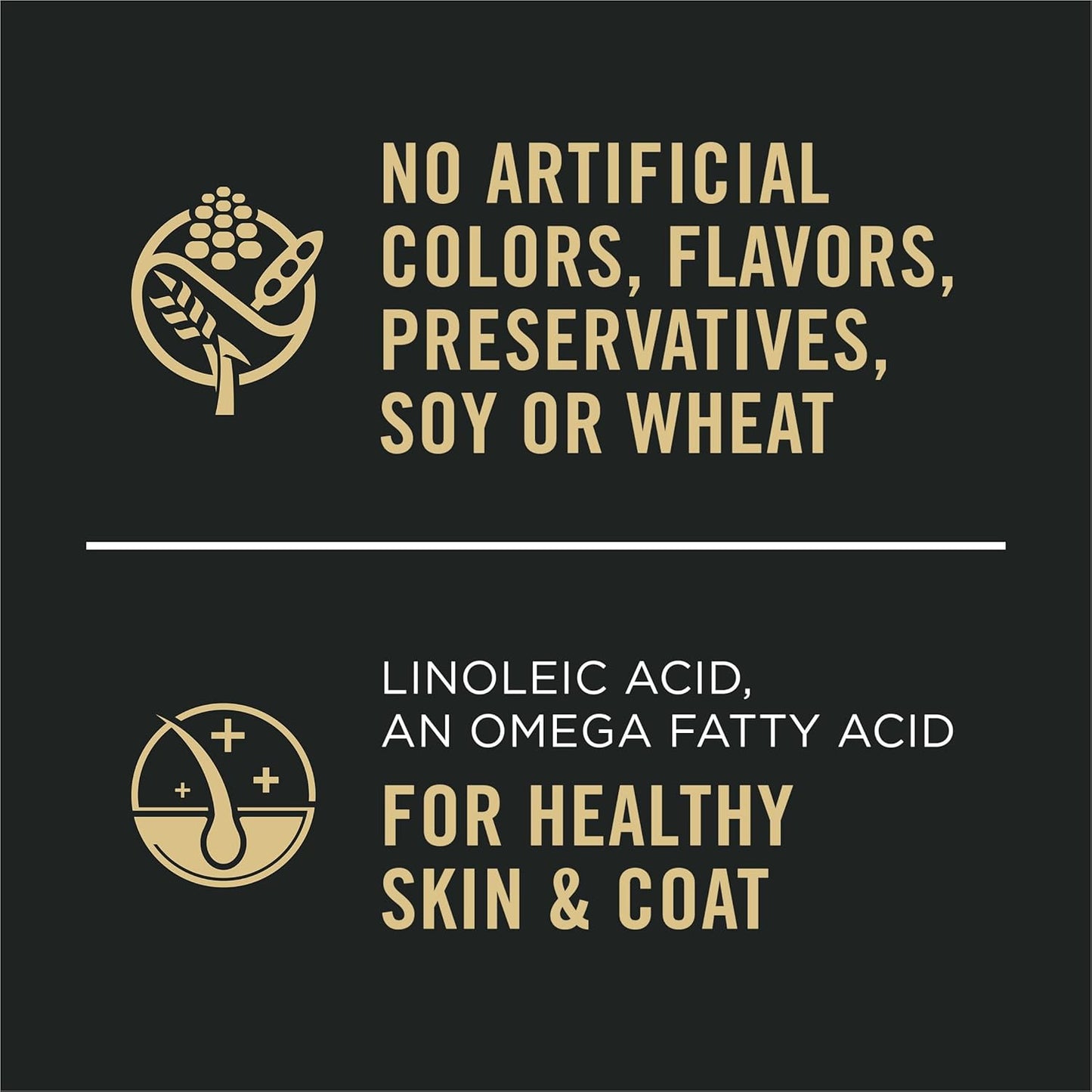 Purina Pro Plan Sensitive Skin and Stomach Dog Food Wet Classic Pate Salmon and Rice Entrée - (Pack of 12) 13 oz. Cans