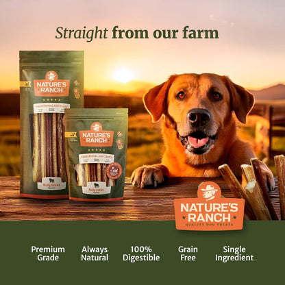Nature's Ranch Odor-Free Thick Bully Sticks for Medium and Large Dogs 5-6 Inch, 10 Count – Natural, Rawhide-Free, Long Lasting Dog Chews, Single Ingredient, Fully Digestible Treats