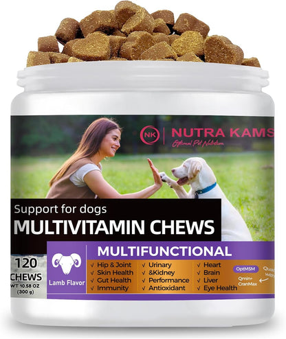 Multivitamin Chews for Dogs, Supports Growth, Hip & Joint, Skin and Gut Health, Immunity, Urinary and Kidney, antioxidants, Heart, Brain, Liver, Eyes, Natural Ingredients, 120 Chews