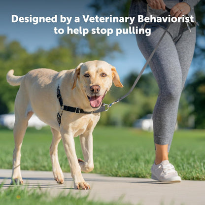 PetSafe Easy Walk No-Pull Dog Harness - The Ultimate Harness to Help Stop Pulling - Take Control & Teach Better Leash Manners - Helps Prevent Pets Pulling on Walks, Medium/Large, Raspberry/Gray