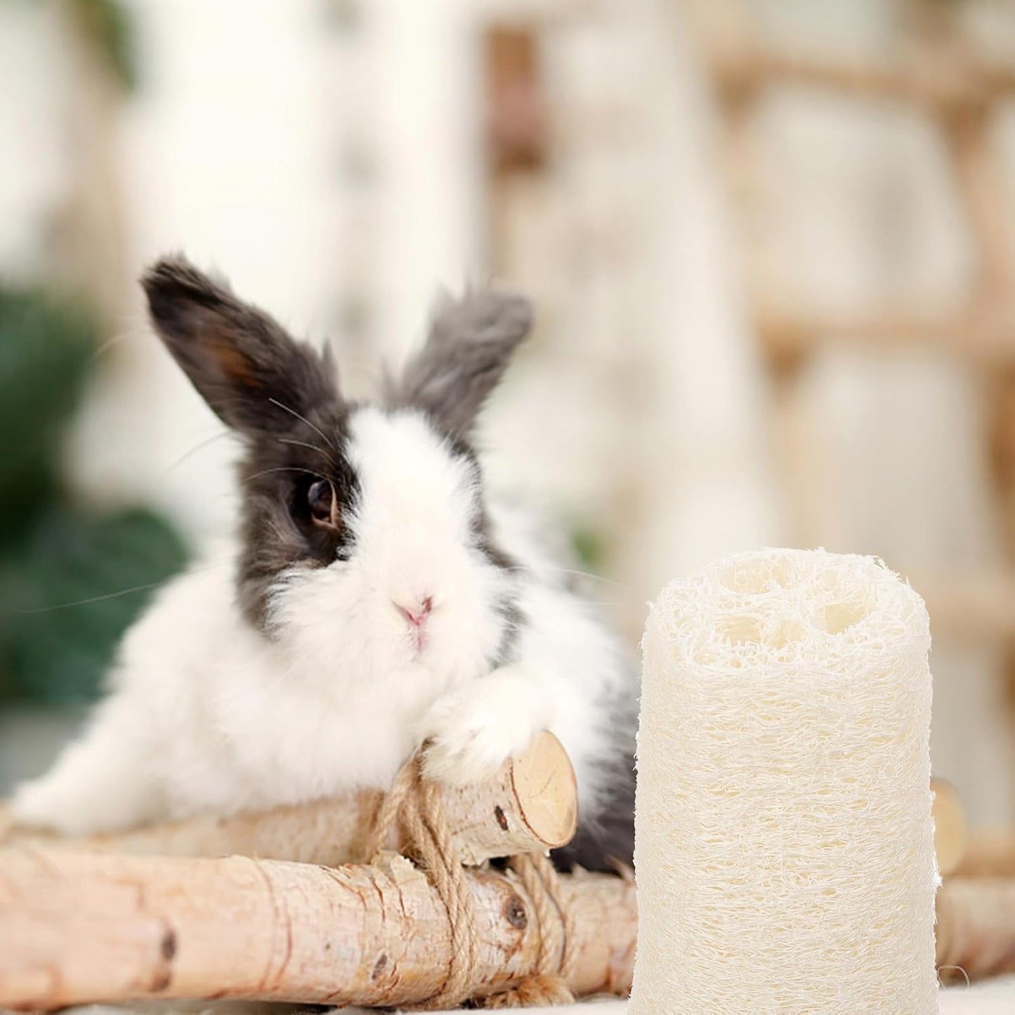 Natural Loofah Molar Chewing for Small Pets Rabbit Treats and Guinea Pig Stuff Safe Wear-Resistant Chew for Hamsters Chinchillas Mice and Bunnies to Promote Dental Health and