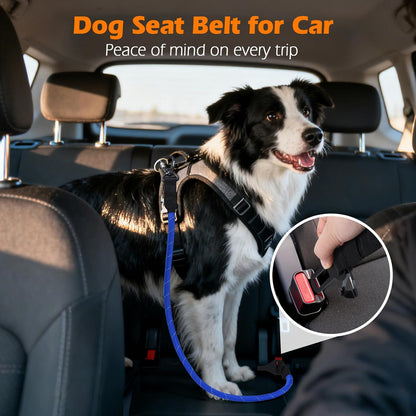 PetBonus Pet Front Dog Carrier Backpacks and Dog Seat Belt for Car