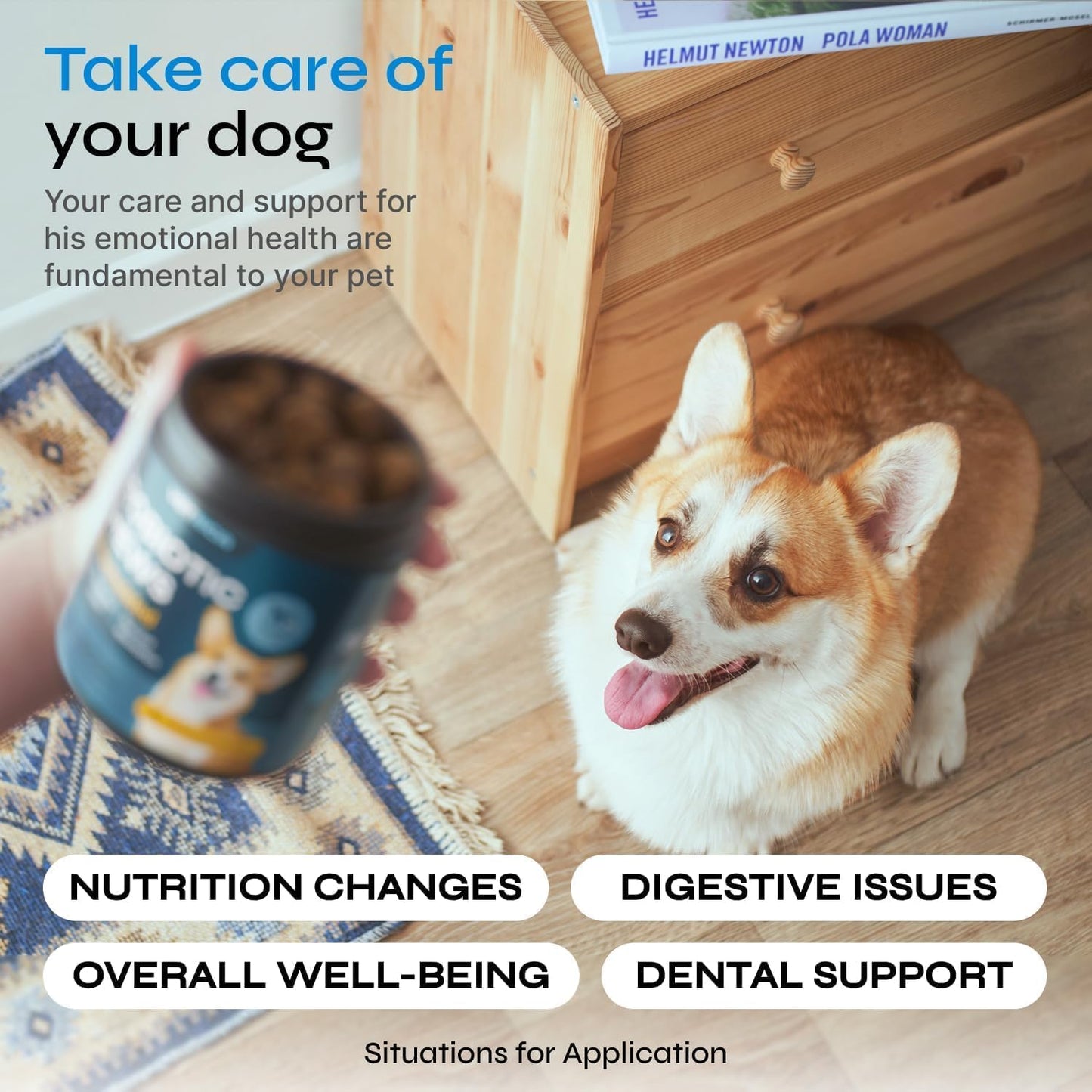 Chews for Digestive and Gut Health, Probiotics for Dogs - Chewable Canine Immune System Supplement - Prebiotic Soft Treats - Yeast Powder, Wild Yam