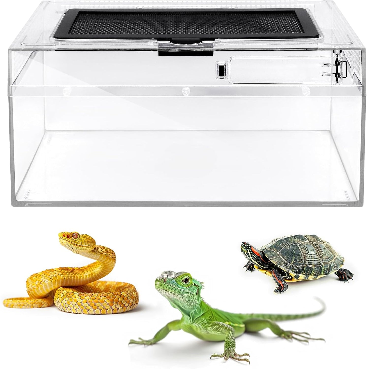 AZV Habitat Terrarium Enclosure Small and Reptile PC Tank Terrarium Amphibian Turtle Tank Starter Kit Habitat Enclosure Cage 7x11x5 inch