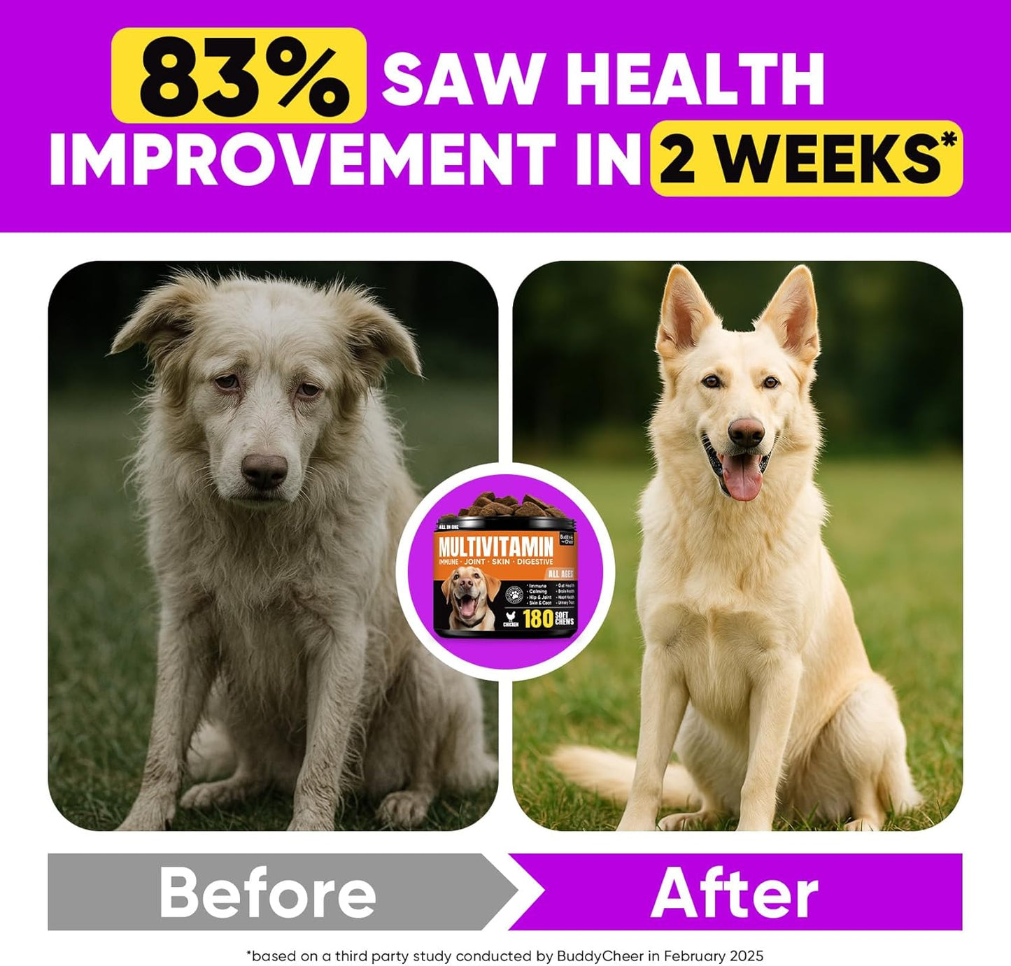 Dog Soft Chews – Joint Care, Skin & Coat, Gut Health, Immune Support