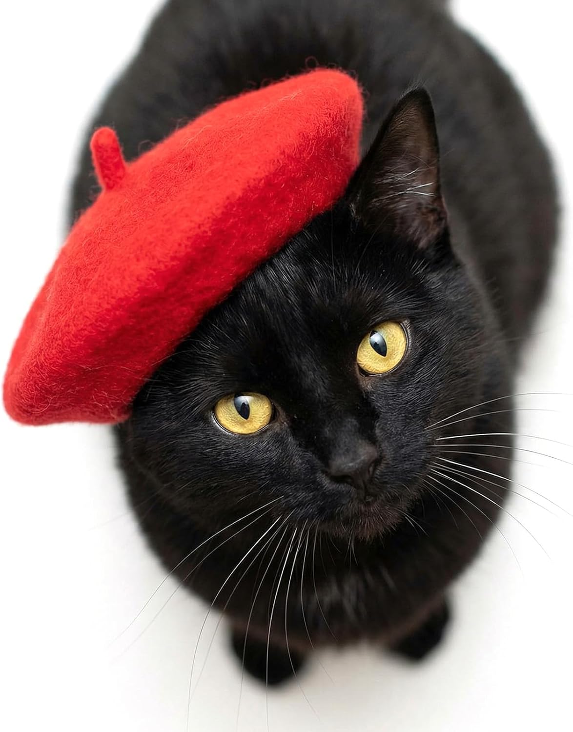 1Pcs Dog Beret for Small Dogs Cat, French Artist Dog Hats Cute Felt Cats Hat for Small Dogs Cat Halloween Christmas Hair Accessory Photo Props(Red)