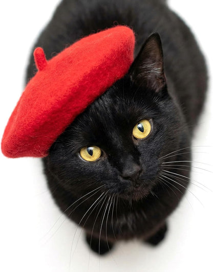 1Pcs Dog Beret for Small Dogs Cat, French Artist Dog Hats Cute Felt Cats Hat for Small Dogs Cat Halloween Christmas Hair Accessory Photo Props(Red)