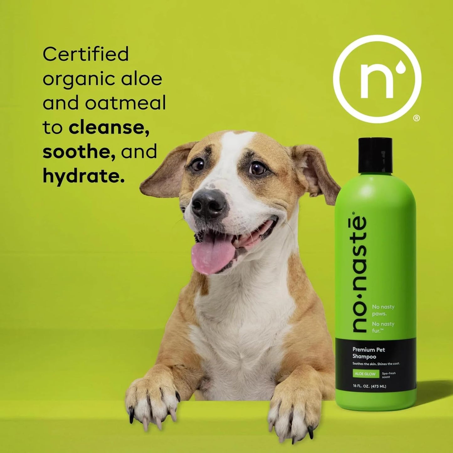 Nonaste Aloe Glow Premium Dog Shampoo (16 Oz, Pack of 1) – USDA Certified Organic Aloe & Oatmeal Dog Shampoo, Sulfate-Freem, Deodorizing Dog Wash for Sensitive Skin, Soft Shiny Coat, Light Fresh Scent