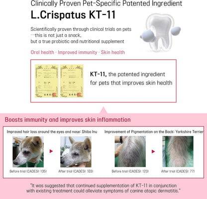 Pawbiotics Skin & Coat Probiotic Powder for Dogs (2.1 oz, 30 Sticks) – with KT-11 Postbiotic, Collagen & Hyaluronic Acid – Supports Gut, Immune & Skin Health – Natural Blueberry Flavor, Made in Korea