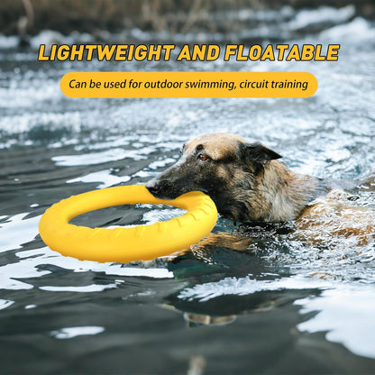 WishLotus Dog Ring Toy and Flying Disc, Interactive Floating Dog Toys Set for Outdoor, Training and Teeth Cleaning Chewers Fetch Toys for Large Dogs (Yellow)