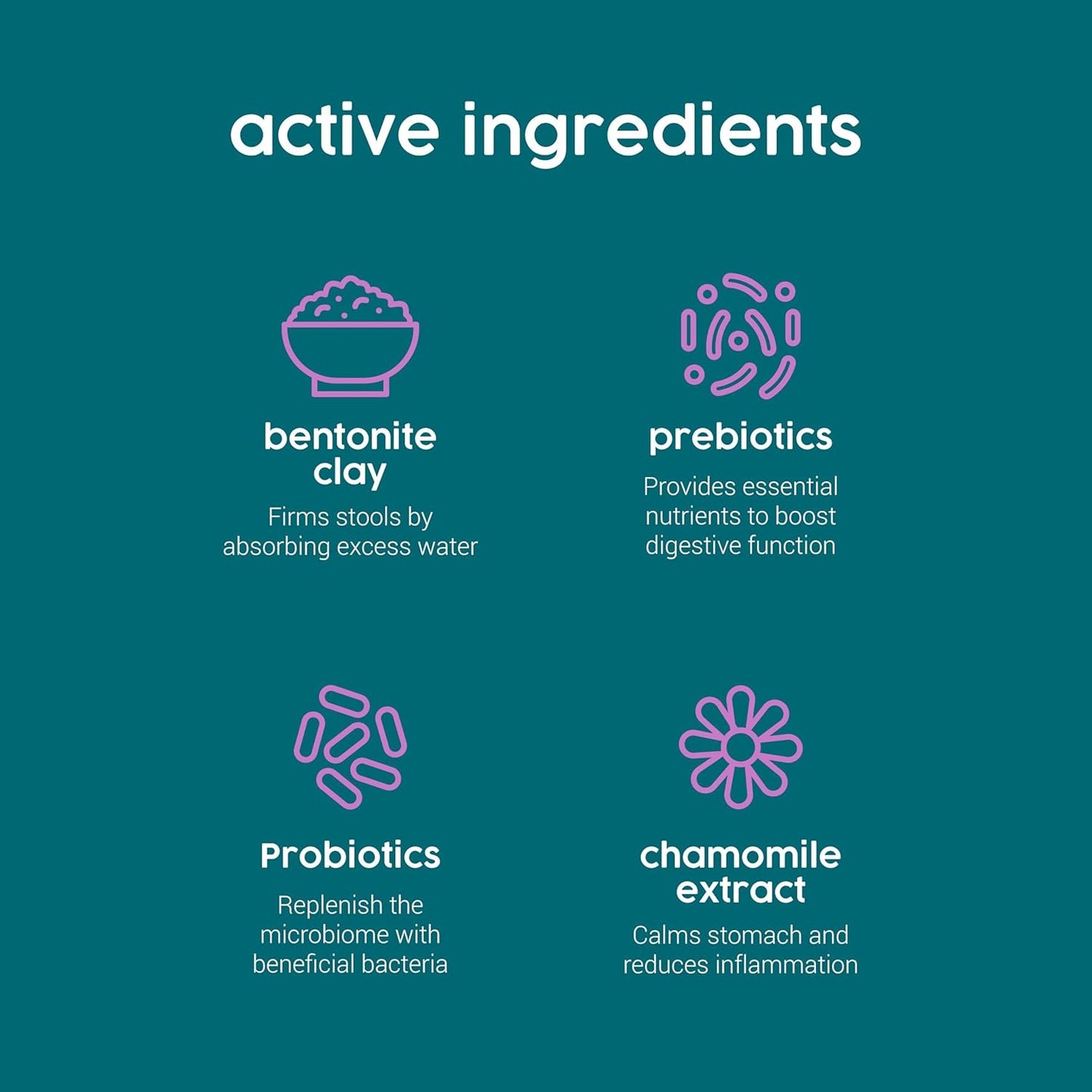 Protum Probiotic Paste for Dogs - 30ml Advanced Prebiotic Formula for Digestive Support - Tasty Flavour for Canine Gut Health - Aids Digestion, Diarrhea Recovery, and Wellness