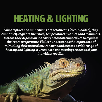 Fluker's Basking Spotlight Bulbs for Reptiles