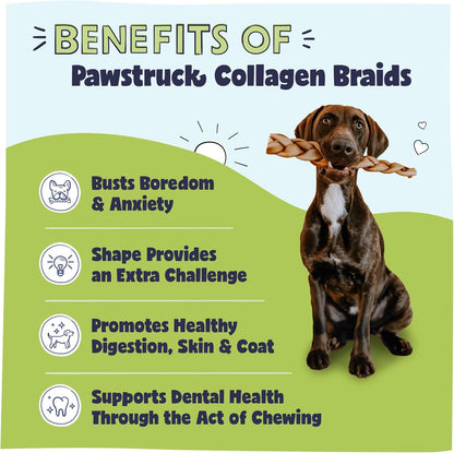 Pawstruck Natural Large 10-13” Beef Collagen Braids for Dogs – Long-Lasting Rawhide & Bully Stick Alternative, with Chondroitin & Glucosamine – 3 Pack