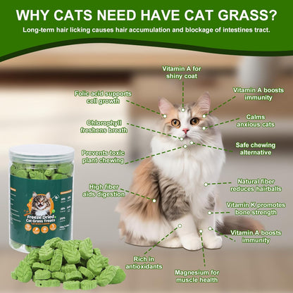 80g Cat Grass Treats for Indoor Cats, Freezed Drying Cat Grass Teething Stick for Hairball Remove Treatment Teeth Cleaning and Dental Care, Edible Kitty Chew Toy Snack