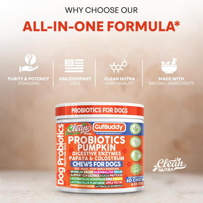 Gut Health Probiotics for Dogs + Pumpkin Colostrum Digestive Enzymes Ginger Slippery Elm Licorice Inulin Fiber Soft Chews Dog Probiotic Beef Flavor Digestion Supplement Treat Bites Large & Small Pets