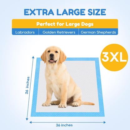 30 Count-36" x 36" XXXL Pee Pads for Dogs, Extra Large Puppy Pads, Super Absorbent Disposable Dog Training Pads, Quick Drying, Leak-Proof, Ultra Thick Potty Pads for Dogs, Puppies, Doggie, Cats