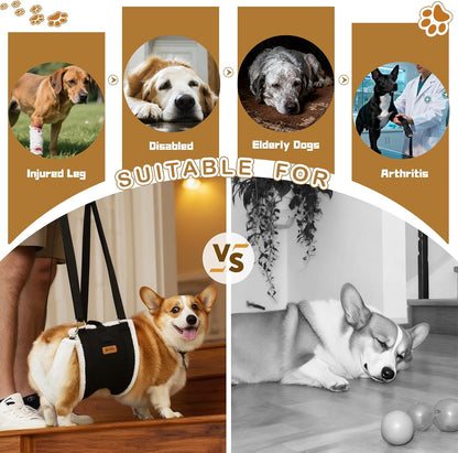 Dog Lift Harness Sling for Medium Dogs & Console Dog Car Seat for Small Dogs