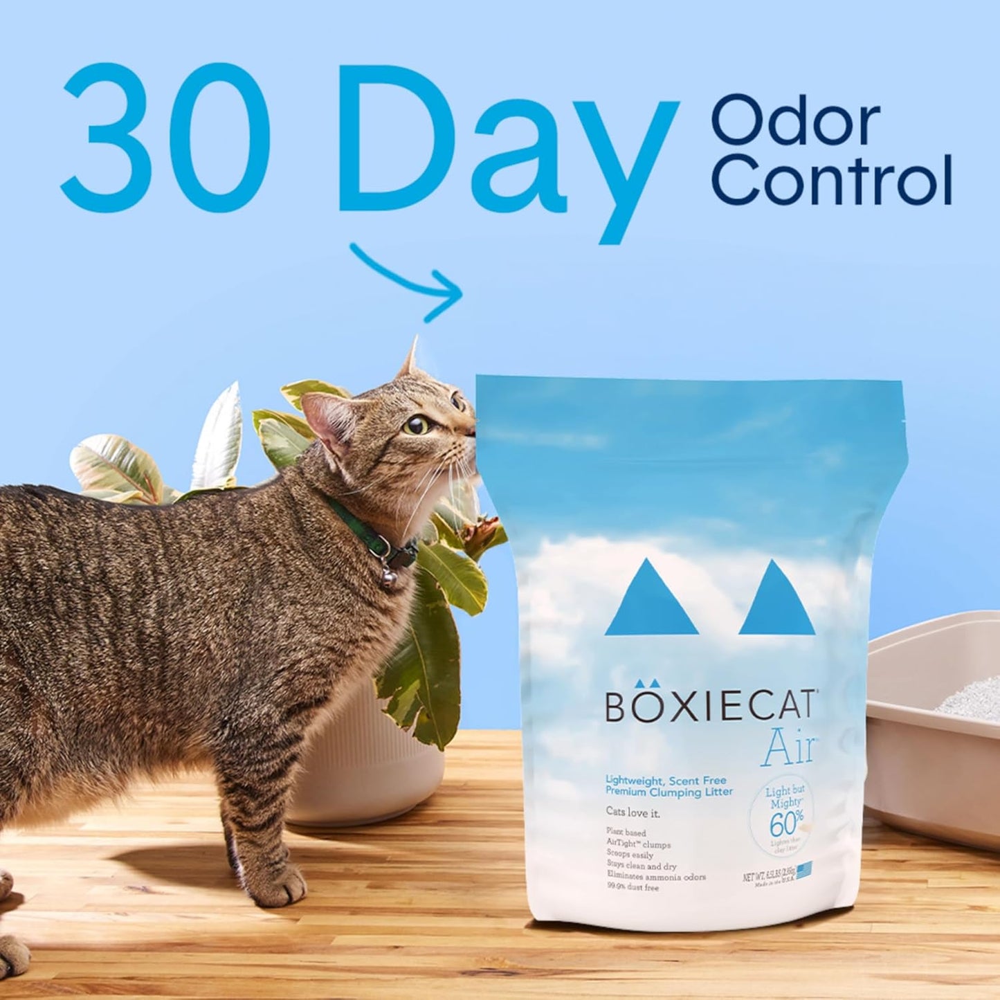 Boxie® Unscented 30 Day Natural Odor Control Cat Litter, 11.5lb Lightweight Plant Based Kitty Litter