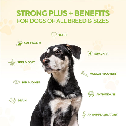 King Kanine Tripple Wellness Combo - Pet Wellness Bundle – Green Inmune Plus, Strong Plus Probiotic with Protein & Joints, Mushroom Plus – Daily Support for Dogs & Cats
