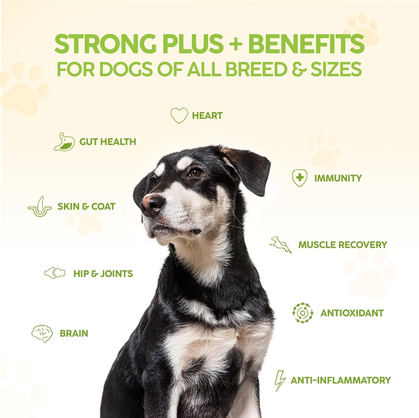 King Kanine Tripple Wellness Combo - Pet Wellness Bundle – Green Inmune Plus, Strong Plus Probiotic with Protein & Joints, Mushroom Plus – Daily Support for Dogs & Cats