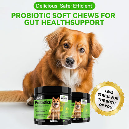 Probiotics for Dogs – Digestive & Immune Support Soft Chews with Prebiotics, Fiber & Enzymes – Relieves Diarrhea, Gas & Itchy Skin – Chicken Flavor Dog Supplement, 120 Chews