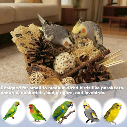 Bird Toys - Sola Ball Foraging Box Bundle with 9Pcs Small Natural Sola Balls for Extra Cage Enrichment, Ideal for Parakeets/Cockatiels/Conures/Lovebirds and Small to Medium Birds