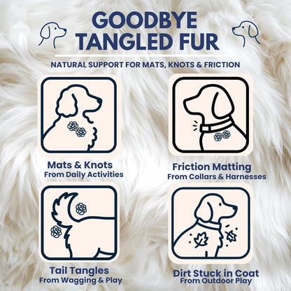 Naturally-Derived Dog Detangler Spray, Leave-in Conditioner for Mat & Tangle Removal, Hydrating Conditioning, Easy Brush, for Curly, Wavy, Long Coats, Sensitive Skin, Made in USA, 16oz