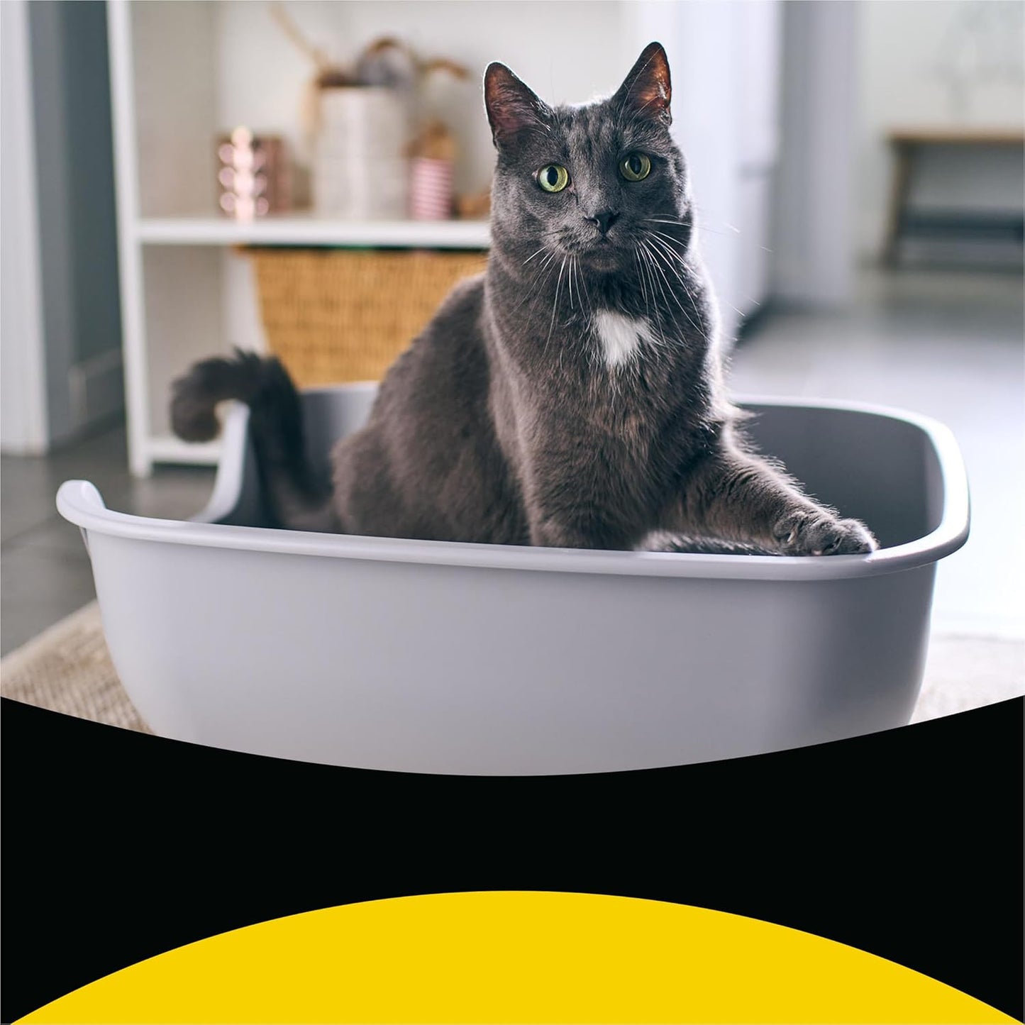 Purina Tidy Cats Clumping, Lightweight, Multi Cat Litter, Tidy Max Glade Clear Springs Formula - 17 lb. Box