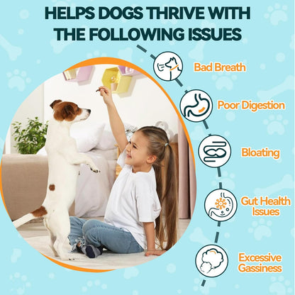 Probiotics for Dogs, 200 Soft Chews Digestive Probiotics & Enzymes for Gut Health with Pumpkin, Fibre for Dogs Anti Diarrhea, Upset Stomach, Gas Relief, Itchy Skin & Immune Support (Chicken)