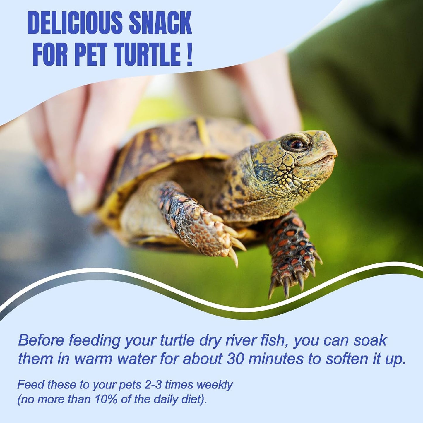 Amzey 2.3 oz Dried River Fish - Natural Food for Turtles, Terrapins, Reptiles and Large Tropical Fish