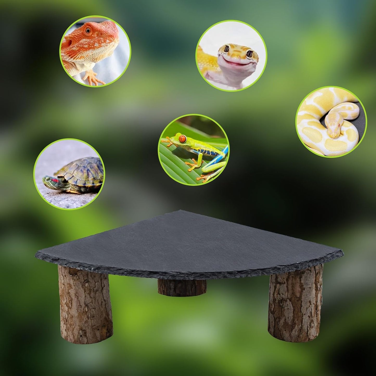 Bearded Dragon Tank Accessories, Basking Platform with Slate Rock and Wooden Pile, Leopard Gecko Hides and Caves, Reptile Tank Accessories for Bearded Dragons, Geckos, Ball Pythons, Tortoise