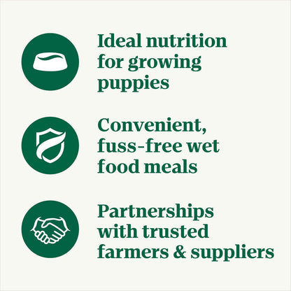 Nutro Puppy Grain Free Natural Wet Dog Food Bites in Gravy Tender Chicken, Sweet Potato & Pea Recipe, 3.5 oz. Trays (24 Count, Pack of 1)