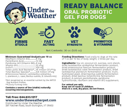 Under the Weather Pet | Ready Balance for Dogs | Oral Probiotic and Prebiotic Gel