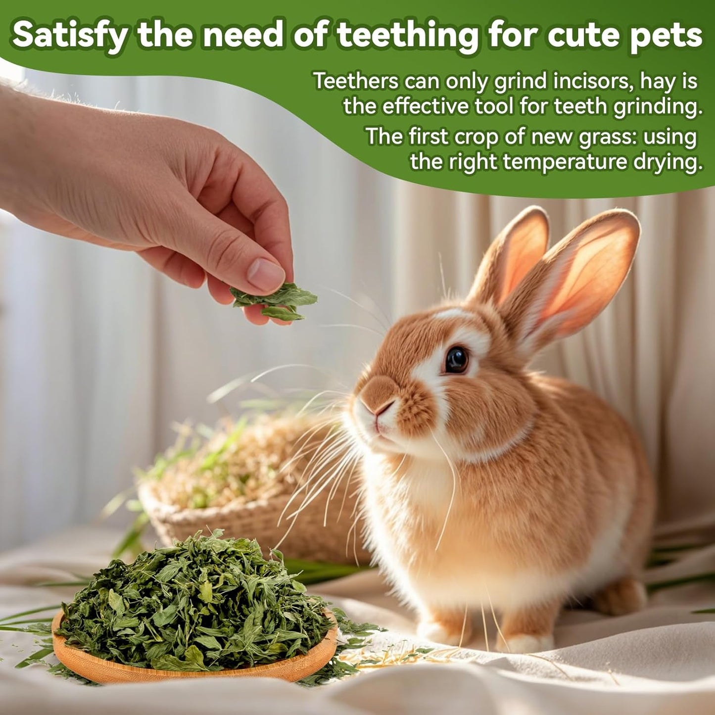 MAQIHAN Natural Alfalfa Hay for Rabbits - Dried Organic Chinchilla Guinea Pig Tender Hay for Young, Pregnant or Nursing Small Pets for Rabbit Food for Small Animals 7.58 oz