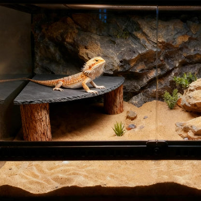 Bearded Dragon Tank Accessories, Basking Platform with Slate Rock and Wooden Pile, Leopard Gecko Hides and Caves, Reptile Tank Accessories for Bearded Dragons, Geckos, Ball Pythons, Tortoise