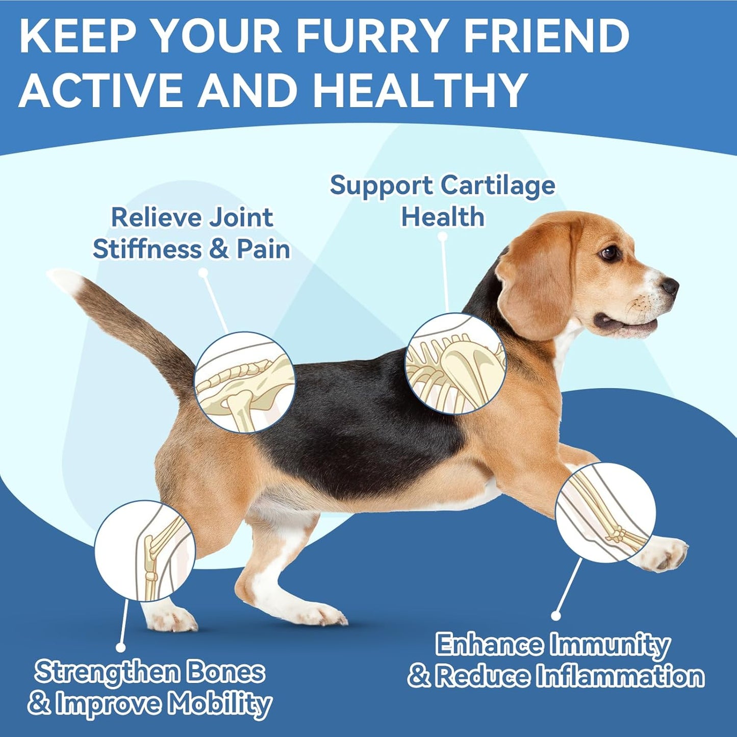 Dog Vitamins & Joint Supplement for Dogs