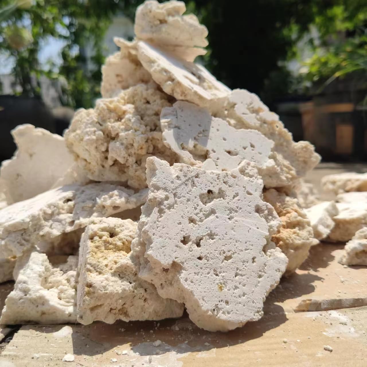 Dry Base Rock for Aquarium White Coral Ornament Sea Base Rocks for Aquarium Aquascaping (7lb,Mix Size & Shape)