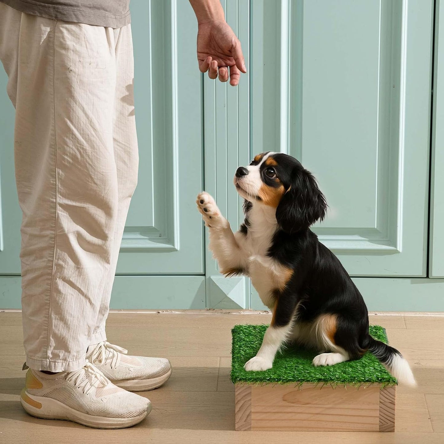 Dog Training Platform 11.81" Non Slip Pivot Box Place Board for Obedience, Hind Limb Awareness Practice Portable Place Board for Indoor Outdoor Use, Puppy to Medium Dogs Agility Training Equipment