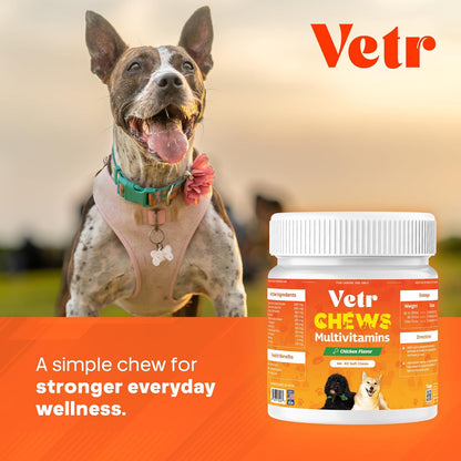 Vetr Multivitamin Treats for Dogs - Grain Free Dog Vitamins and Supplements for Skin & Coat, Glucosamine Chondroitin Joint Support - Chicken Flavored 60 Count - Vet-Formulated in USA