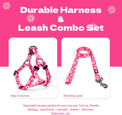 QQPETS Dog Harness Leash Set Adjustable Heavy Duty No Pull Halter Harnesses for Small Medium Large Breed Dogs Back Clip Anti-Twist Perfect for Walking (S(14"-20" Chest Girth), Daisy)
