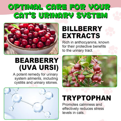 Urinary Tract for Cats, Natural Cat Urinary Tract Infection Treatment Drops Supports Bladder, Kidney Stone, Cat UTI, Cranberry Kidney Bladder Support Supplement, Chicken Flavor - 60ml / 2.02oz