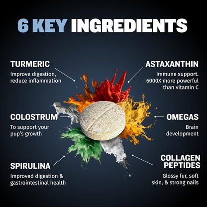 Bully Max Small Breed Dog Immune Support Tablets - Chewable Multivitamin Immunity Booster Supplement for Puppy & Adult Dogs - Pet Vitamins with Astaxanthin, Colostrum, Turmeric - 30 Tabs (2 Bottles)