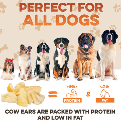 BRUTUS & BARNABY Cow Ears for Dogs – Whole Ears 12 ct, Thick Cut, Grass-Fed Angus Beef, All-Natural No-Rawhide Dog Treat Alternative