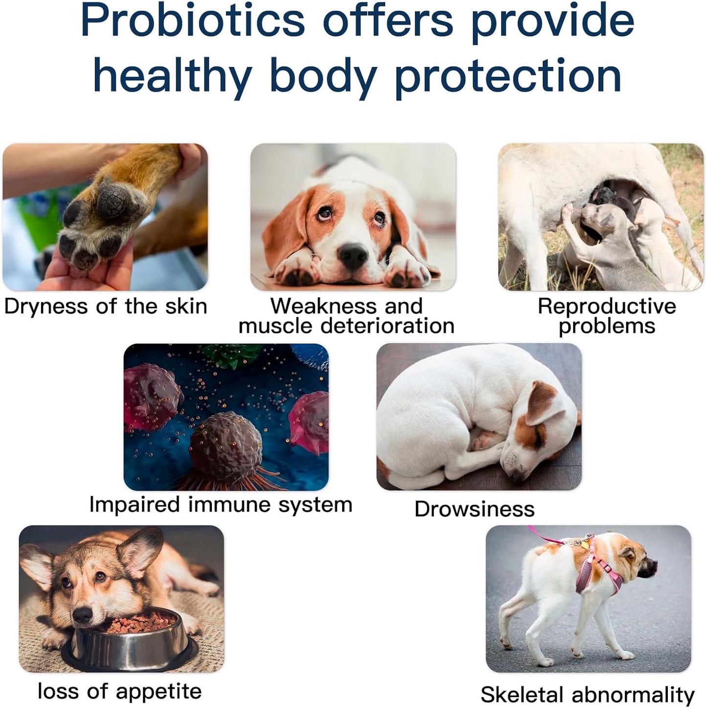 Probiotics for Dogs, Dog Probiotics for Yeast, Itchy Skin and Itchy Ears, Digestive Enzymes with Prebiotics for Digestive Health, Probiotic Chews for Dogs Support Immunity Health - (Chicken 240 Ct)