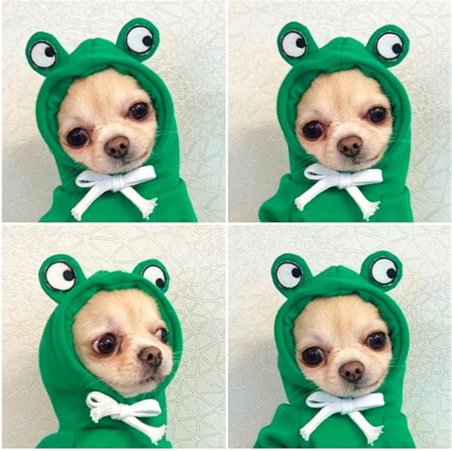 Warm Dog Winter Clothes Cute Fruit Dog Coat Hoodies Fleece Pet Dogs Costume Jacket for French Bulldog Chihuahua Ropa para Perro(Green,S)