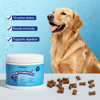 Premium Probiotics for Dogs - All-in-One Daily Supplement | Supports Joint, Heart, Skin, Digestion, Immune System & Liver Health (120 Chews Pumpkin)