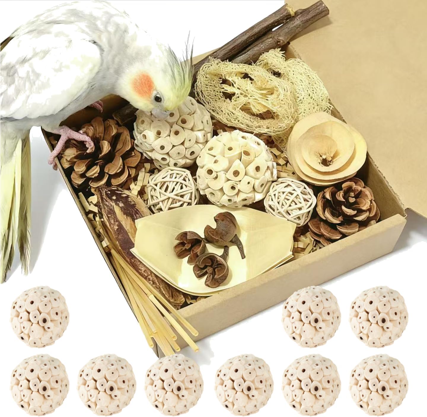 Bird Toys - Sola Ball Foraging Box Bundle with 9Pcs Small Natural Sola Balls for Extra Cage Enrichment, Ideal for Parakeets/Cockatiels/Conures/Lovebirds and Small to Medium Birds